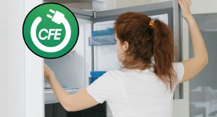 CFE te ayuda a cambiar tu refrigerador por uno más moderno; estos son los requisitos