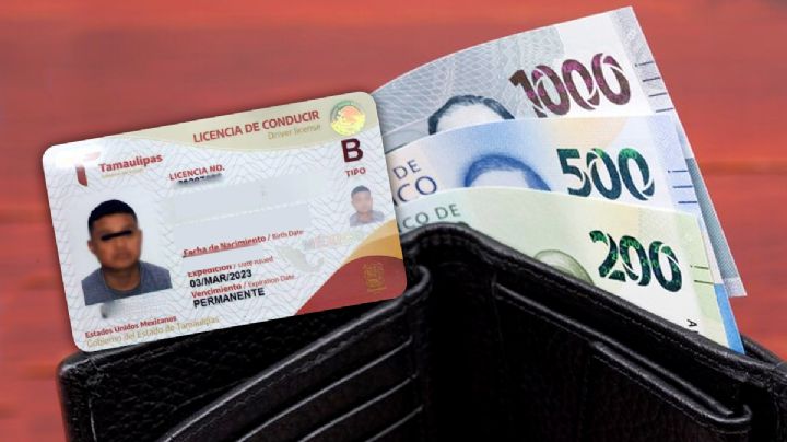 Licencia de conducir de Tamaulipas: costo y requisitos en ENERO 2024