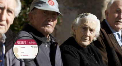 INAPAM: abuelitos podrán disfrutar de este nuevo descuento en 2024