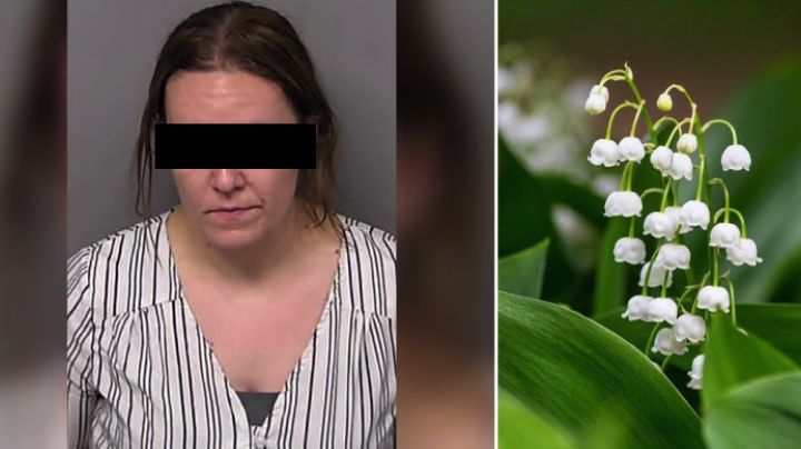 Mujer envenena a su esposo con una planta mortal en su licuado; él descubrió su infidelidad