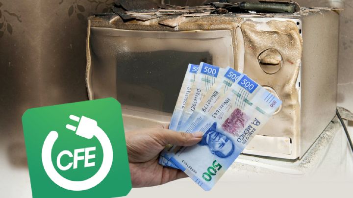 CFE te pagaría un microondas nuevo por el descompuesto: requisitos