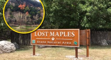 Lost Maples, el mejor parque para visitar cerca de San Antonio, Texas