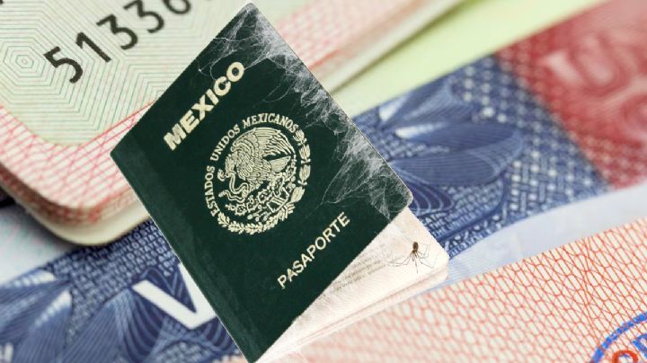 Visa americana: que hacer si renové mi pasaporte antes de mi cita programada