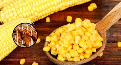 Crean costillas de elote: ¿qué son, en dónde las venden y cuánto cuestan?