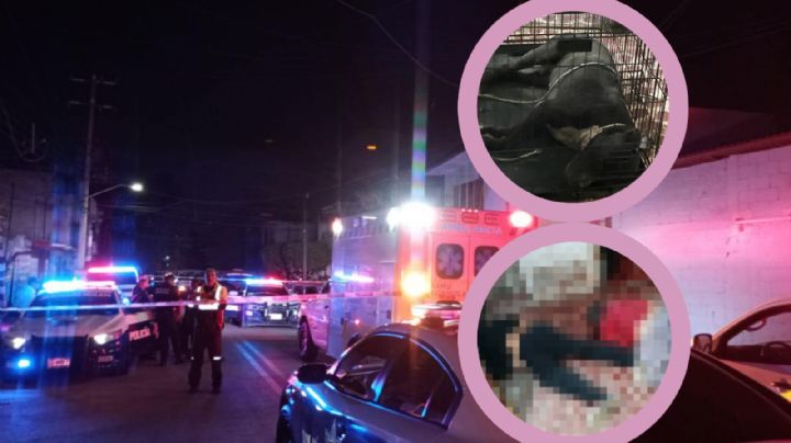 Pitbull desconoce y mata a sus dueños, una pareja de abuelitos