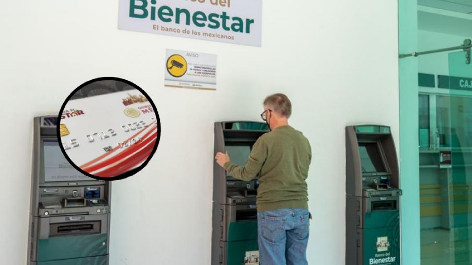 Habrá nuevos plásticos, por lo tanto, hay que elegir bien el nuevo NIP