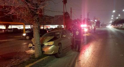 Se le pasan los tragos a abuelita y árbol detiene su loca carrera en la Avenida Reforma