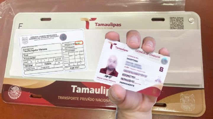 Oficina Fiscal de Tamaulipas 2024: precios de engomados con licencia y sin licencia vigente
