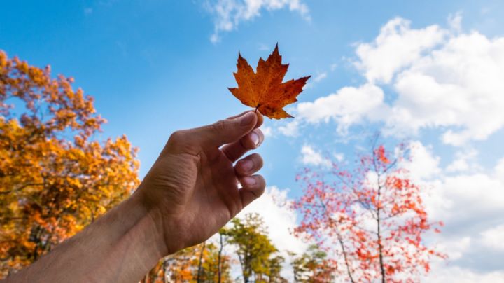 Cabañuelas 2024: así será el clima del año según esta creencia