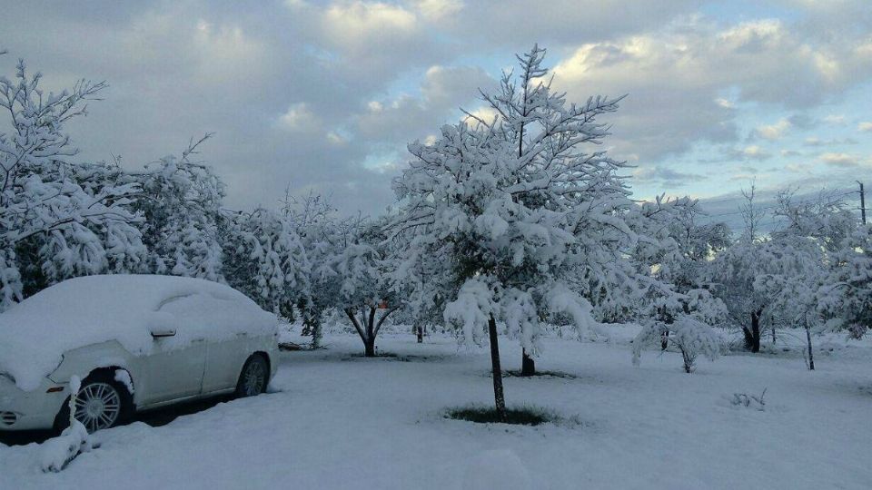 El frío persistirá en el norte de México, con altas probabilidades de nieve y lluvia egelante