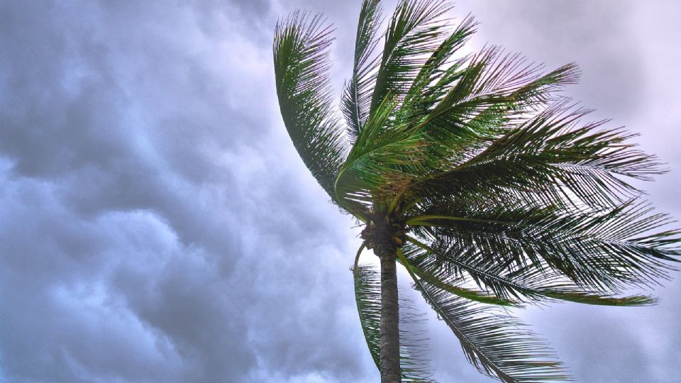 Se espera mucho viento y lluvias en Texas