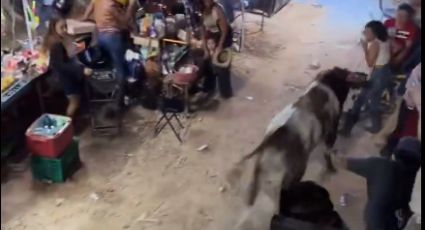 Angustiante momento en el que toro de 400 kilos escapa de ruedo y siembra pánico | VIDEO