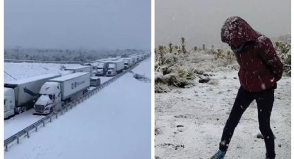 Frente frío 26: ¿en qué estados de México caerá nieve en esta semana?