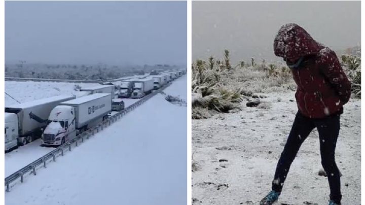 Frente frío 26: ¿en qué estados de México caerá nieve en esta semana?