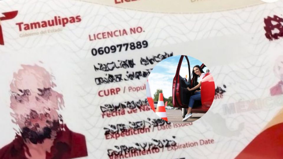 Estas personas deberán de renovar su licencia de manejo