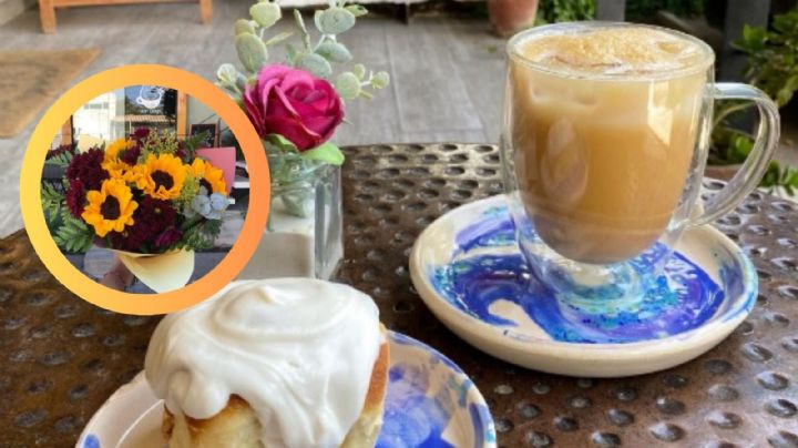 ¿Café bajo un ‘diluvio de estrellas’?, conoce la cafetería viral de Monterrey