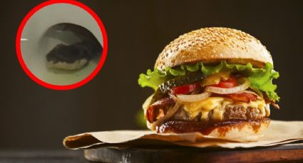 Mujer graba a serpiente en la taza del baño; fue en un famoso restaurante de hamburguesas