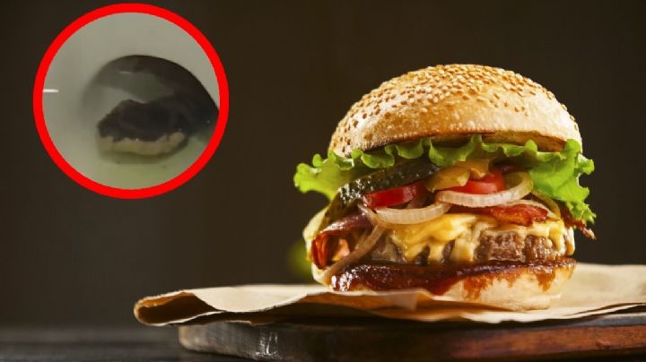 Mujer graba a serpiente en la taza del baño; fue en un famoso restaurante de hamburguesas