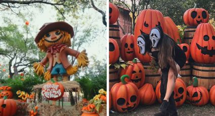 Parque de las Calabazas: celebra Otoño y Halloween, ¿en dónde y cuánto cobran la entrada?