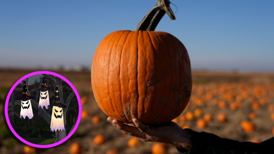 La festividad más aterradora del año podrá ser festejada en este pueblito de Texas, donde la cultura del Halloween es el día a día