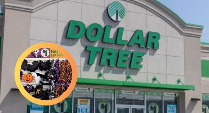 Dollar Tree: compra estos artículos de lujo a sólo 5 dólares