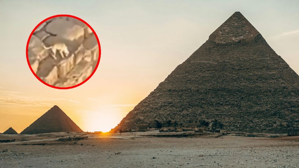 Viral: perrito subió hasta la cima de la Pirámide de Giza