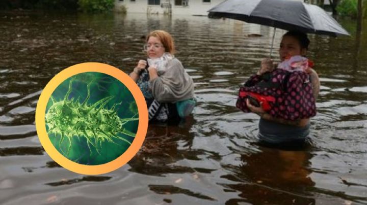 Reportan aumento de ‘bacterias carnívoras’ en Florida tras el paso de ‘Helene’ y ‘Milton’