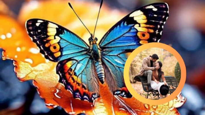 ¿Cuál es el beso mariposa?; esto es lo que demuestra en las parejas