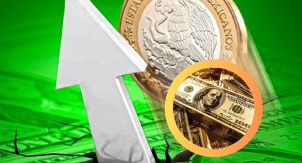 El peso madruga y le da la sorpresa al dólar: tipo de cambio de hoy 20 de octubre del 2024