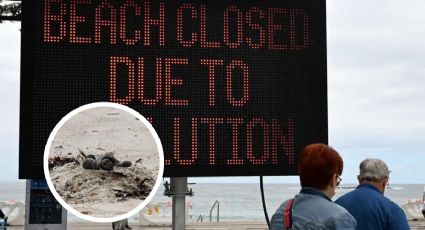 Cierran playas tras aparición de extrañas bolas negras; científicos analizan su contenido