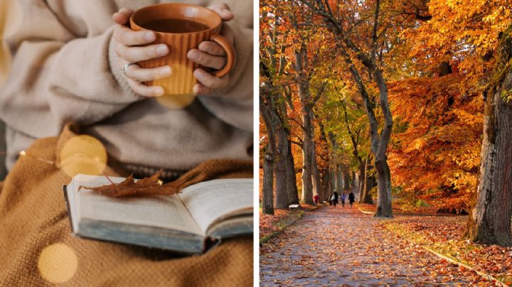 Clima en Nuevo Laredo: team frío, se acerca descenso en las temperaturas