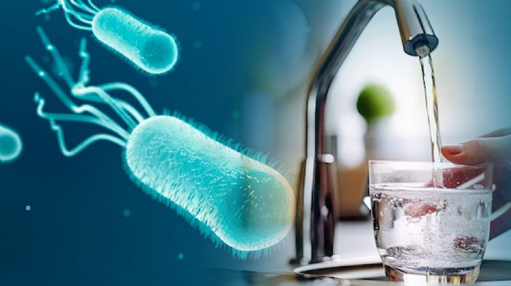 Hallan 200 tomas clandestinas en el sistema de agua de Laredo, Texas