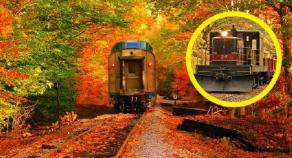 Fall Train: disfruta de los mejores paisajes de otoño en Estados Unidos a bordo de este tren