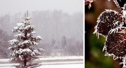 Invierno congelante en México; frío de -20 grados centígrados y nieve en estos estados