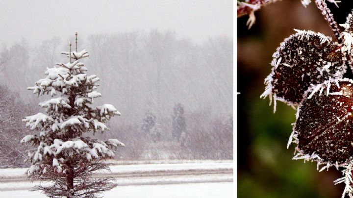 Invierno congelante en México; frío de -20 grados centígrados y nieve en estos estados