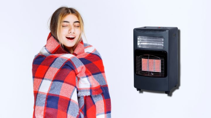 Fríos en México: ¿cuánto cuestan los calefactores para la casa en 2024?