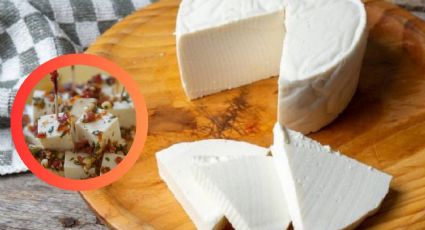 Descubre el queso panela que tiene menos grasa y es mejor que La Villita y Fud ; según Profeco