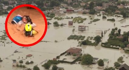 MOMENTO EXACTO en el que bombero rescata a mujer y su perrito de morir ahogados