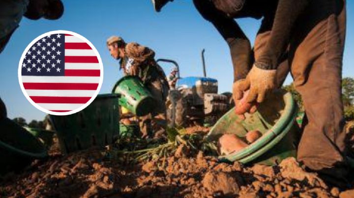 ¿Cuánto gana un mexicano en Estados Unidos? Este es el salario promedio en un mes