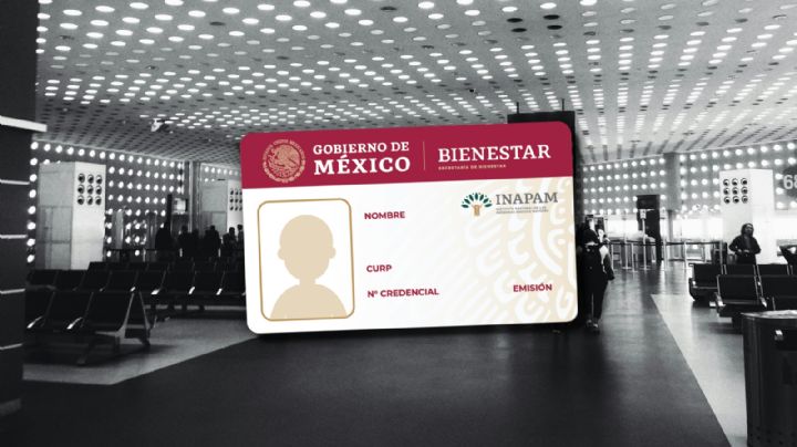 INAPAM: ¿cuál aerolínea da los mejores descuentos a los adultos mayores en 2024?