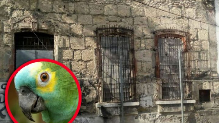 ¿Qué pasó en la terrorífica Casa Aramberri? Un asesinato y un loro marcaron el inmueble