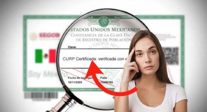 CURP certificada y actualizada en octubre 2024; paso a paso para descargarla GRATIS