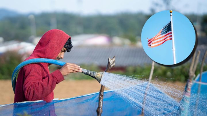 Visa americana para trabajadores agrícolas: ¿cuánto cuesta, requisitos y quiénes pueden obtenerla?