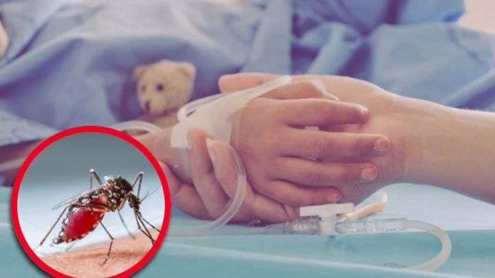 Muere niño de 10 años por picadura de mosquito en Coahuila; ¿qué enfermedad contrajo?