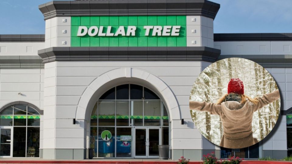 Cinco productos que debes comprar durante el invierno en Dollar Tree