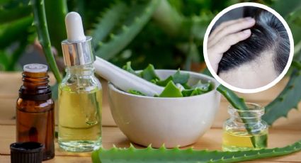 Elimina las canas con este remedio natural; sólo necesitas tres productos