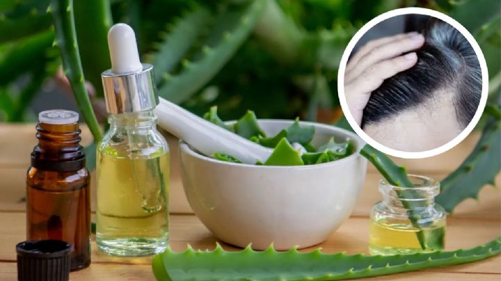 Elimina las canas con este remedio natural; sólo necesitas tres productos