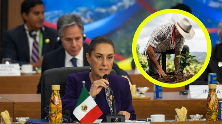 Sheinbaum presenta 'Sembrando Vida' en la cumbre del G20; gabinete respalda propuesta