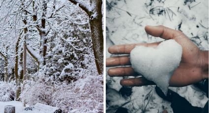 Pronostican nevadas y mucho frío en México; 'Norte' afectará así en Tamaulipas