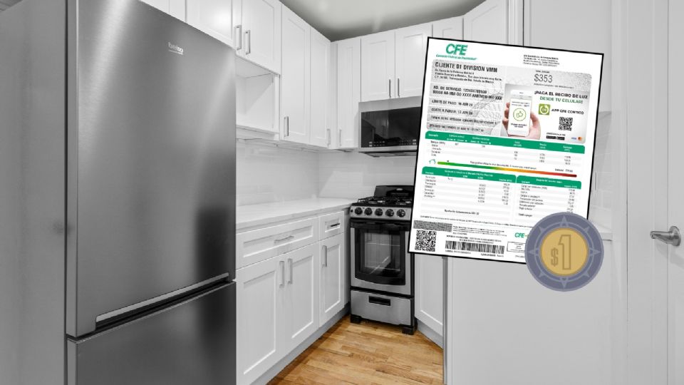 Ahorra en el recibo de luz de la CFE con estos consejos para el refrigerador